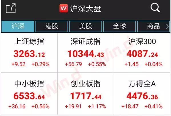 新闻资讯 第313页