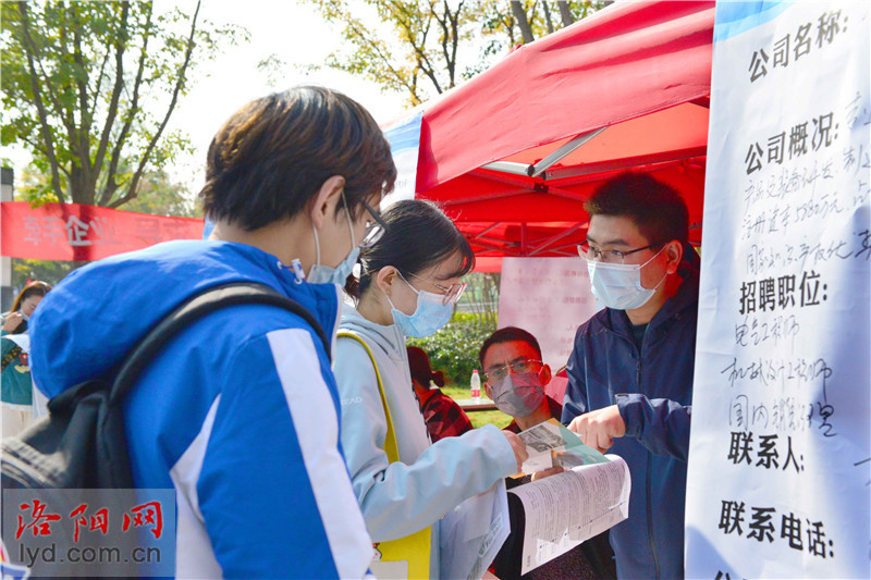 洛阳涧西最新招聘信息汇总