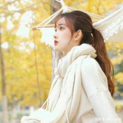 安然阮惊云最新更新揭秘，两大主角动态与故事进展全解析