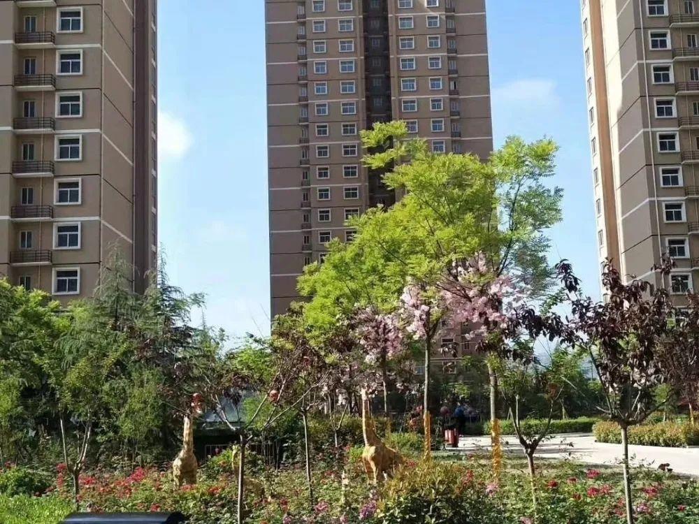 宝鸡市廉租房最新公告发布，打造宜居城市，扩大惠民保障范围