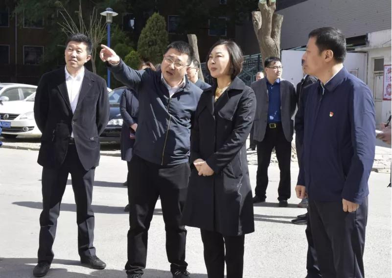中环环保股票最新动态，自然美景探索之旅启程