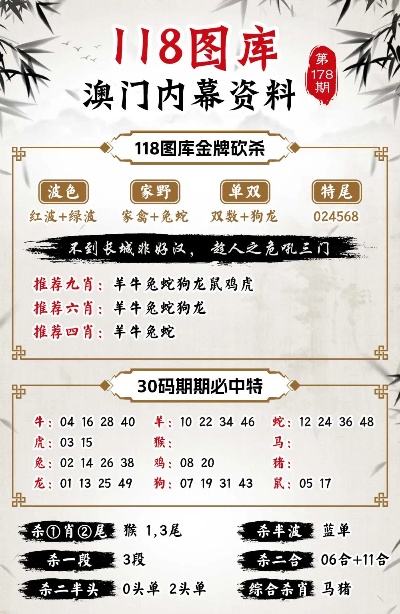 新澳门2024今晚开什么,稳健设计策略_效率版92.541