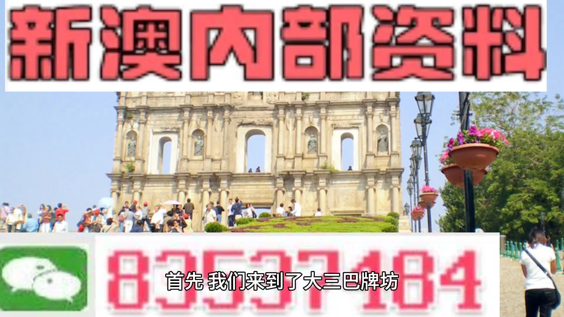 新澳精准资料免费公开,统计信息解析说明_语音版21.511