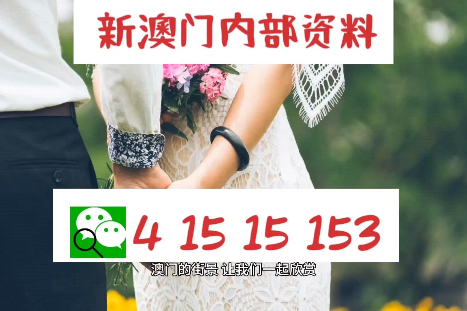 新澳精准资料免费提供219期,科学解释分析_多媒体版59.539