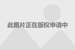 林心如与林志颖最新动态，跨界合作还是各自闪耀？