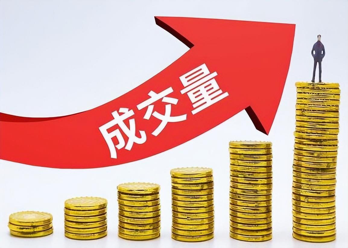 深度解析选择股票的方法，个人立场与策略探讨