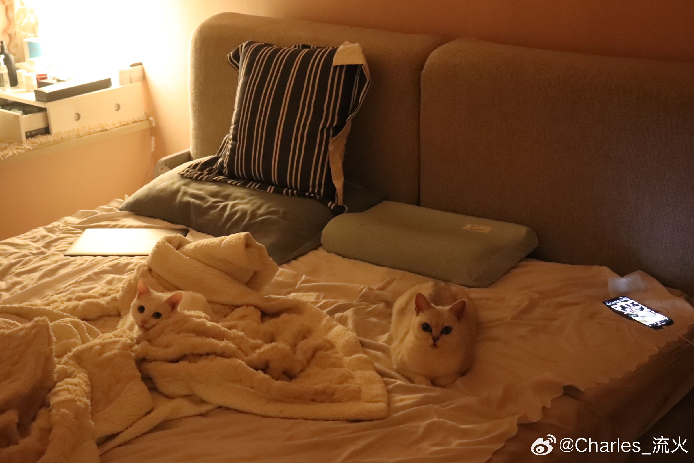 最新温馨窝，变化中的学习与自信成就感的源泉