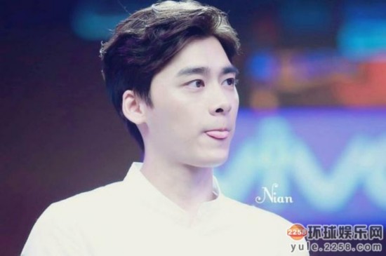 中国最帅男明星的多维度观点分析，颜值与魅力的碰撞