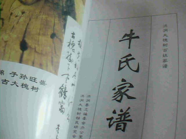 牛姓明星的高科技产品与生活的完美融合，科技之星牛姓明星引领潮流生活新风尚