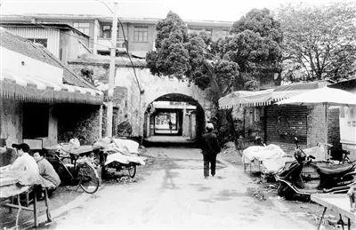 南阳最新动态，自然美景探索之旅，寻求内心平和与宁静的旅程
