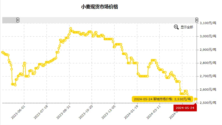 济宁小麦最新价格行情揭秘，巷弄深处的麦香秘密