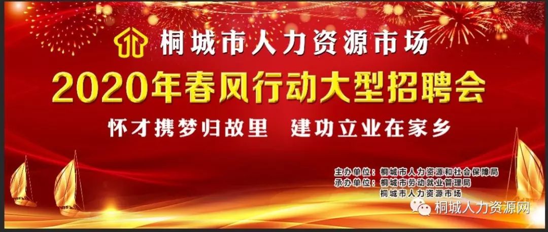 桐城最新职位招聘及详细步骤指南