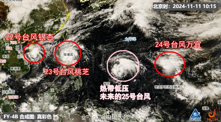 今年第4号台风实时更新，最新动态与报告