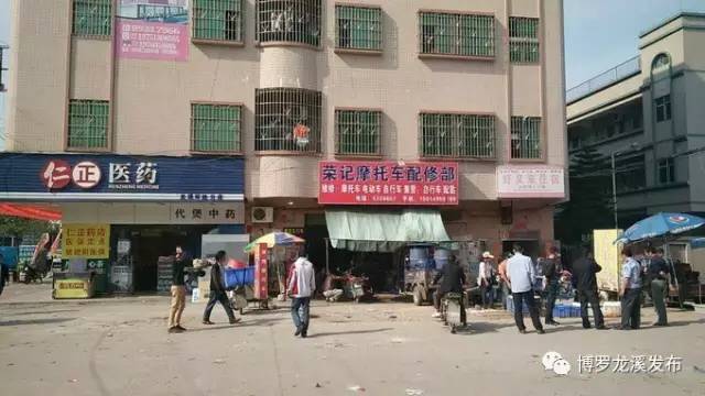 博罗龙溪招聘信息全攻略，获取指南初学者与进阶用户皆宜