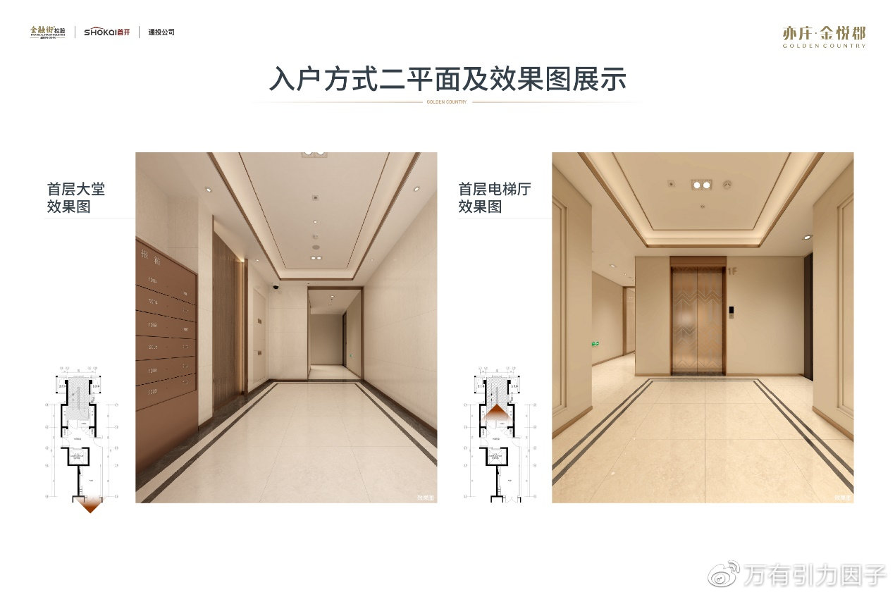 中央最新入户政策解读，入户细则及实施要点分析
