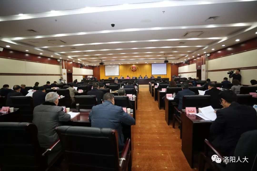 洛阳最新领导，全面了解与学习步骤指南（初学者与进阶用户必读）